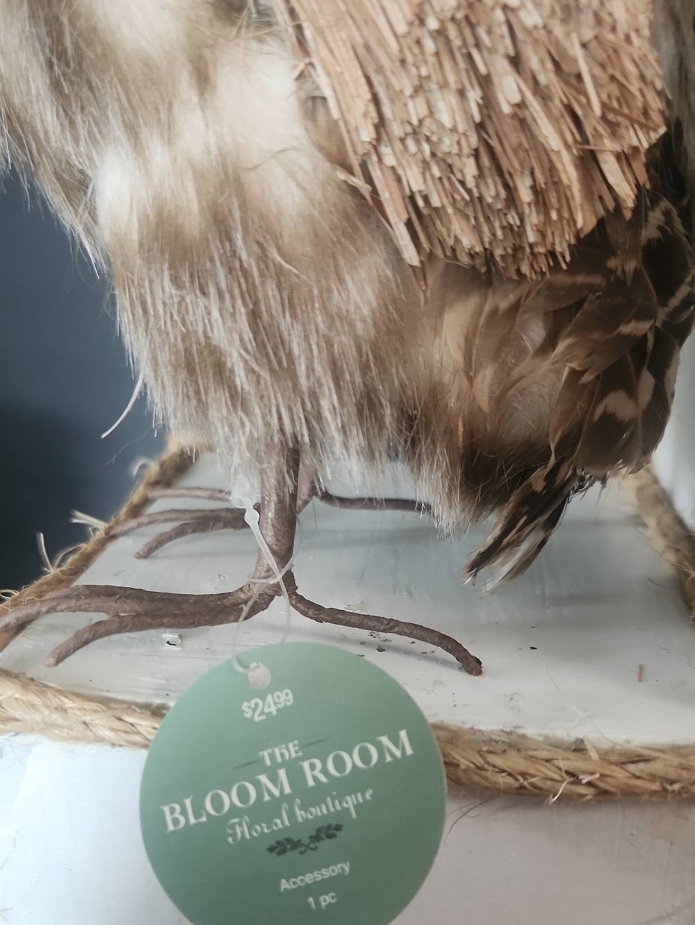 Owl Decor - Picture 2 of 7